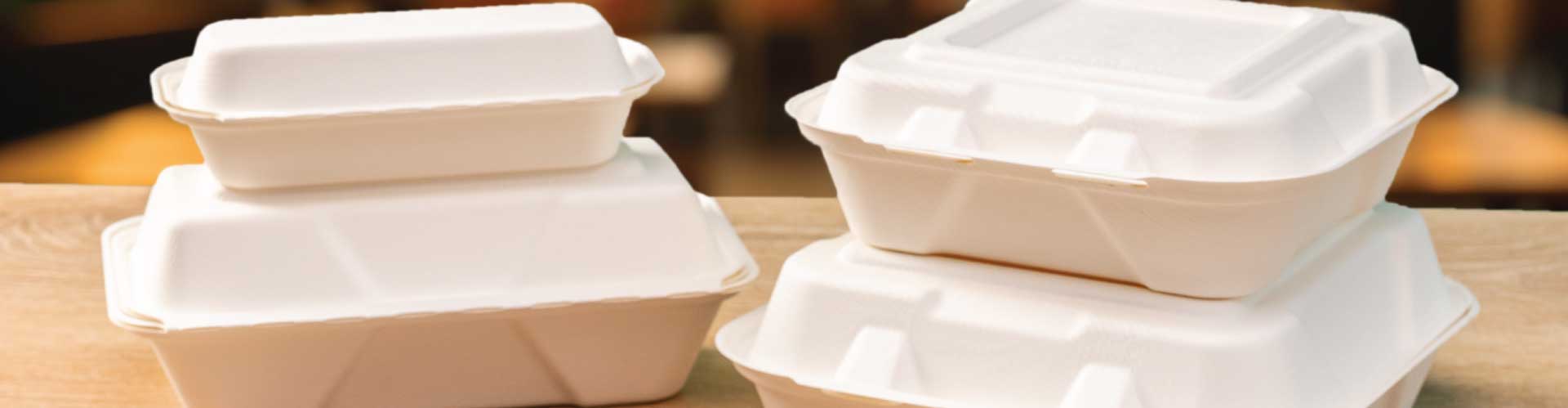 white sustainable hinged food containers
